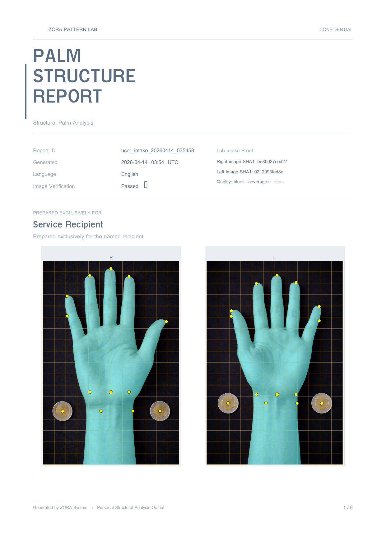 Sample report page 1